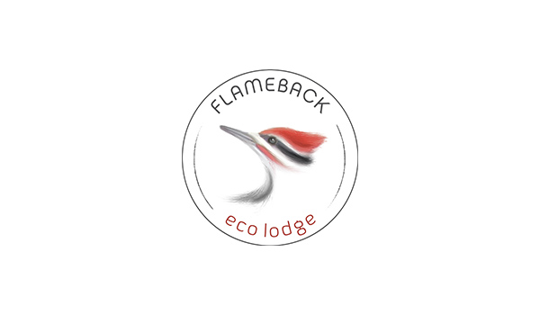 Flameback Eco Lodge